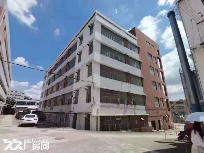 坂田新出独栋厂房8400平可分租-图5