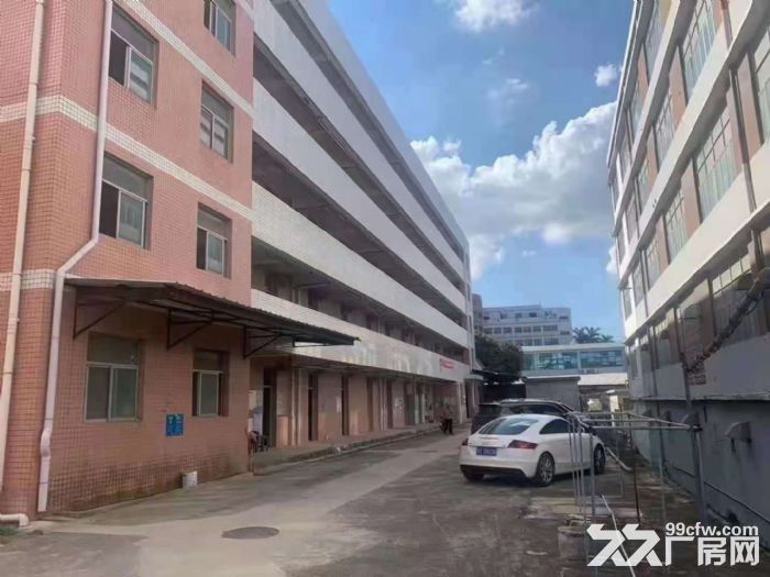 坂田新出独栋厂房8400平可分租-图6