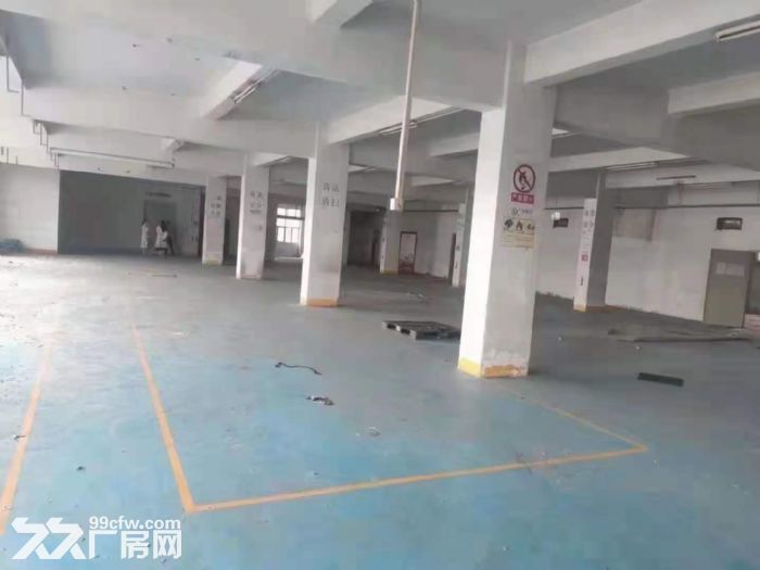 坂田新出独栋厂房8400平可分租-图7