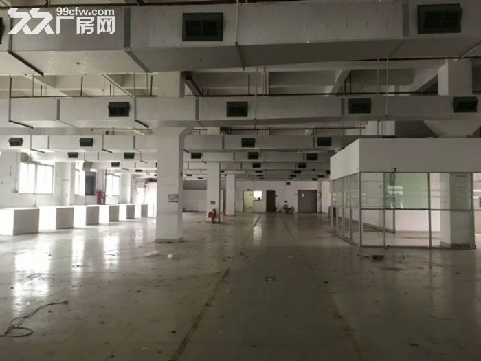 深圳市龙区观澜花园式独院厂房招租-图6