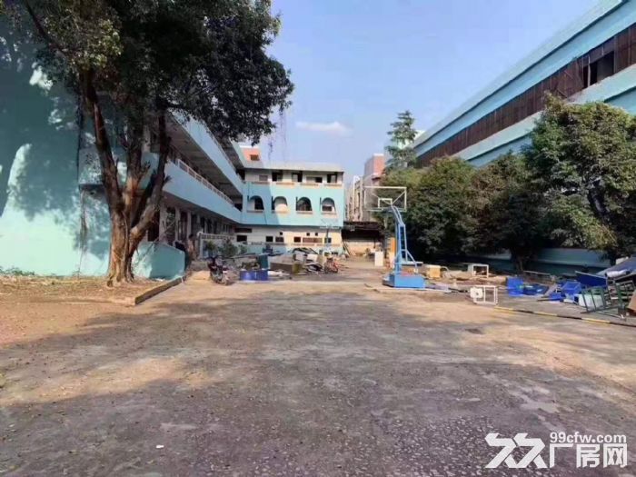 塘厦高速路口 14元每平方 独院厂房仓库出租3万平方 可分租-图2