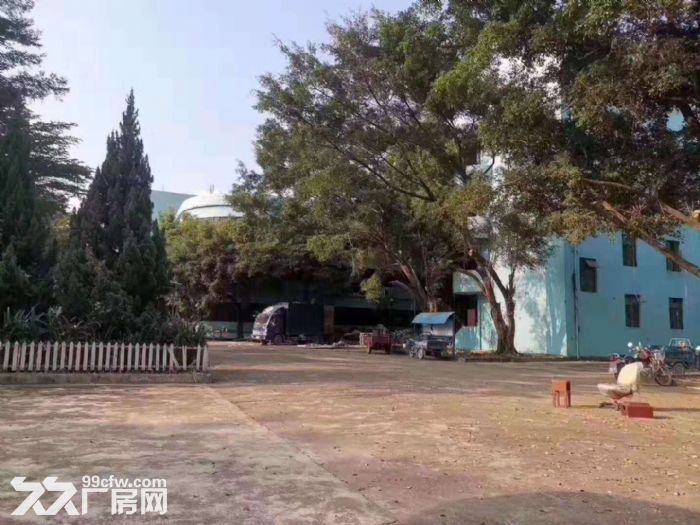 塘厦高速路口 14元每平方 独院厂房仓库出租3万平方 可分租-图1