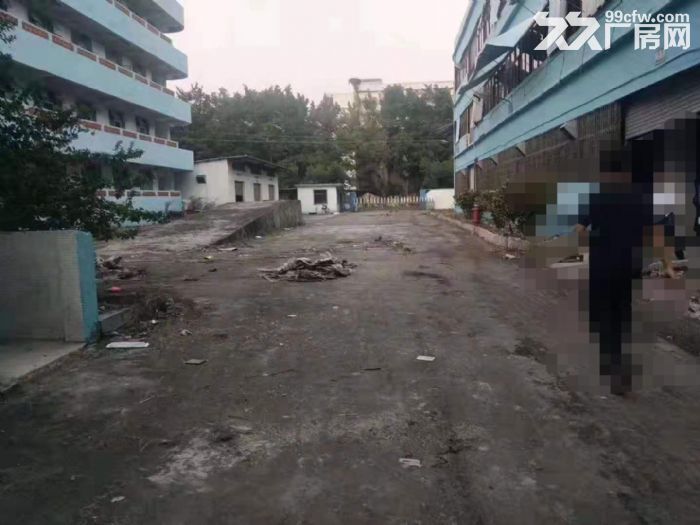 塘厦高速路口 14元每平方 独院厂房仓库出租3万平方 可分租-图3