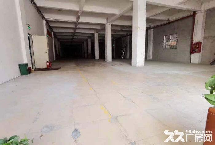 大浪龙澜快速路旁新出1750平一楼仓库-图4