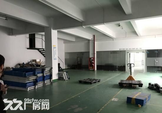横岗西坑精装修厂房仓库办公室1200平方出租可分租-图2