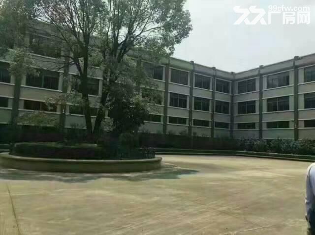 爱联如意路楼上780平出租-图2