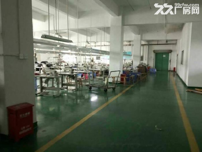 坪山坑梓原房东二楼整层2000平带地坪漆办公室出租-图5