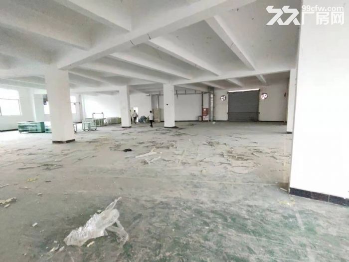 大浪华盛路附近新出1100平精装厂房出租-图7