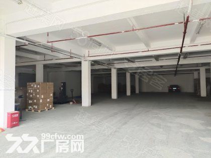 布吉李朗工业区租客分组一楼700平快递仓库厂房出租空地大-图4