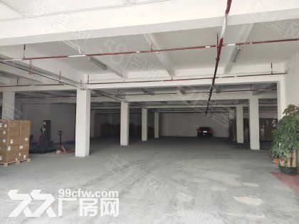 布吉李朗工业区租客分组一楼700平快递仓库厂房出租空地大-图5