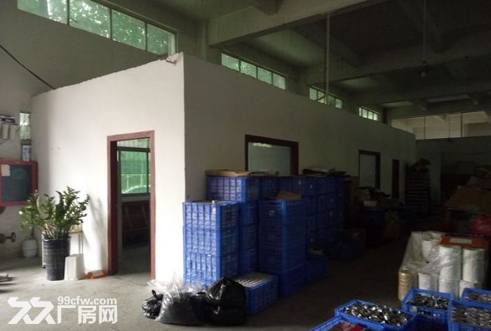 坪山区坑梓大型工业区新出一楼1000平实际面积出租-图3