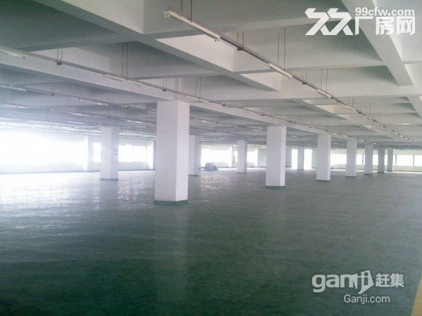 龙岗中心城独院5000平厂房招租 近主干道-图2