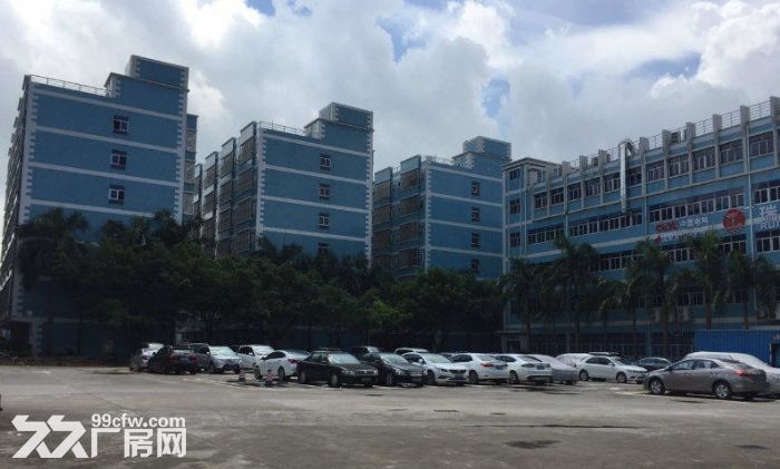 横岗前一秒新出花园式房子，速来围观-图1