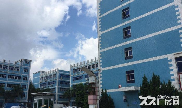 横岗前一秒新出花园式房子，速来围观-图4