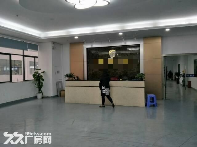豪华装修龙岗中心城厂房1200平方出租-图3