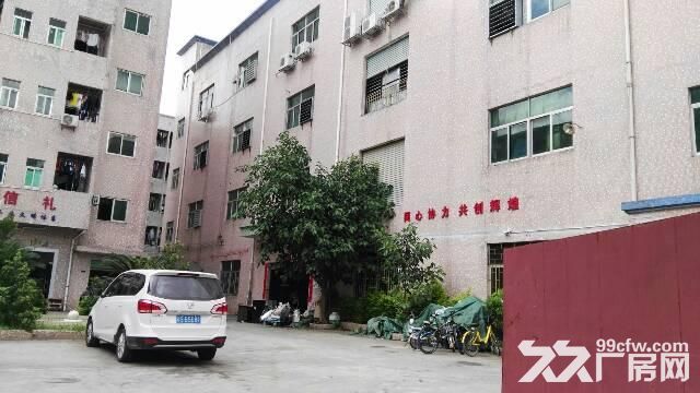 原房东一二楼1200平龙岗厂房出租招租嶂背同乐-图1