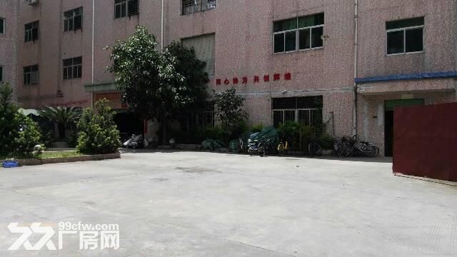 原房东一二楼1200平龙岗厂房出租招租嶂背同乐-图2