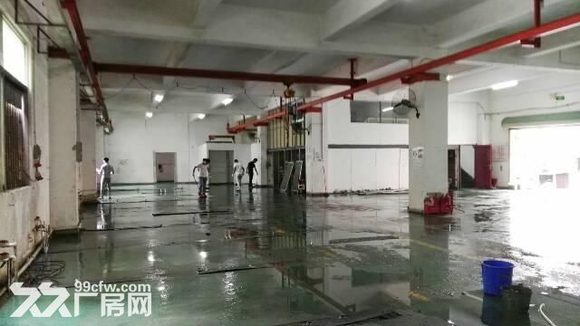 原房东一二楼1200平龙岗厂房出租招租嶂背同乐-图4
