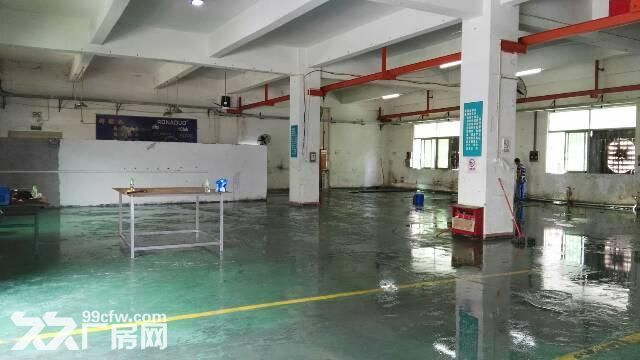 原房东一二楼1200平龙岗厂房出租招租嶂背同乐-图5