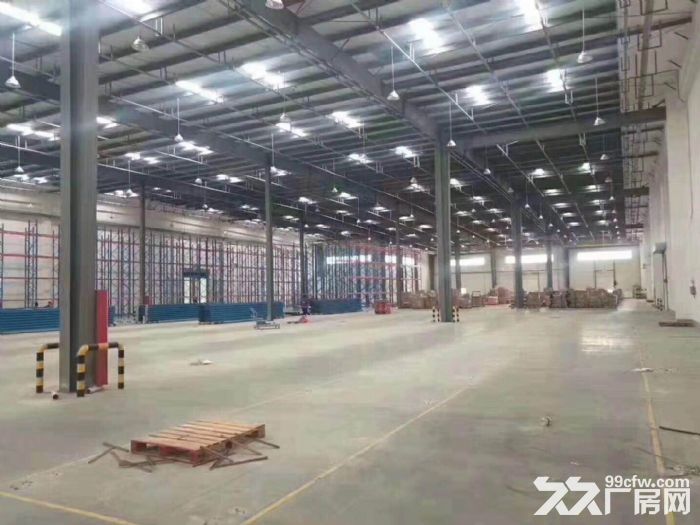宝龙新出原房东单一层厂房7800平出租带卸货平台-图4