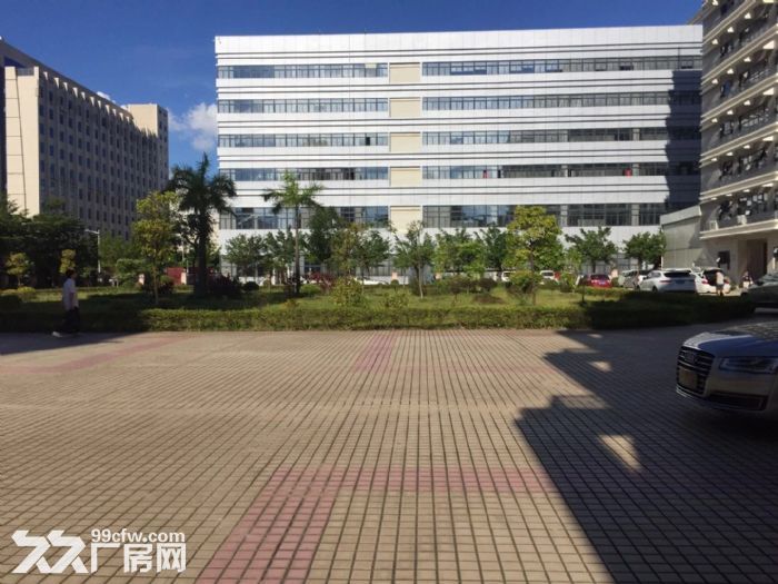 龙岗留学生创新产业园一期36000平米招租可分租-图2