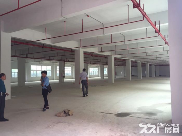 龙岗留学生创新产业园一期36000平米招租可分租-图7