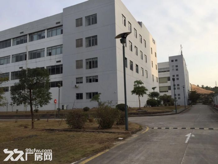 龙岗留学生创新产业园一期36000平米招租可分租-图8