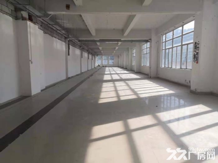 深圳龙华大浪石观附近原房东楼上2000平工业厂房出租。-图4