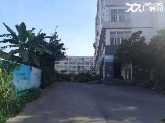 深圳龙华大浪石观附近原房东楼上2000平工业厂房出租。-图2