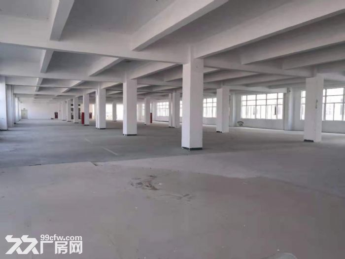 深圳龙华大浪石观附近原房东楼上2000平工业厂房出租。-图3