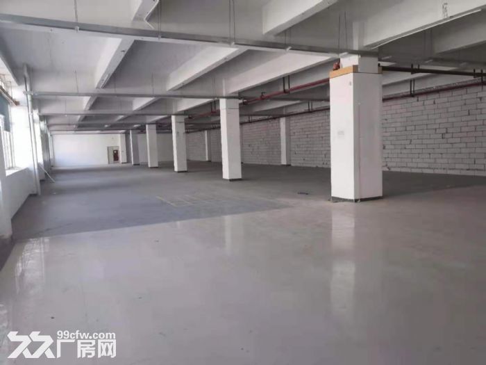 深圳龙华大浪石观附近原房东楼上2000平工业厂房出租。-图6
