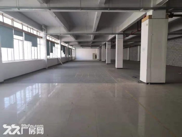 深圳龙华大浪石观附近原房东楼上2000平工业厂房出租。-图5