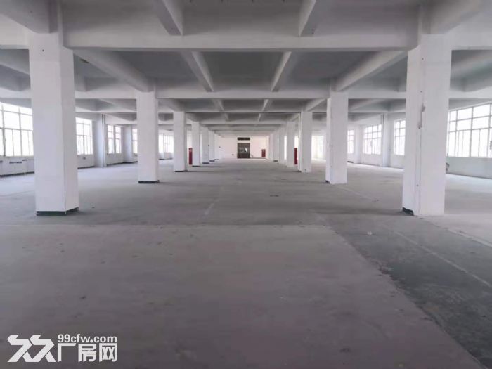 深圳龙华大浪石观附近原房东楼上2000平工业厂房出租。-图8