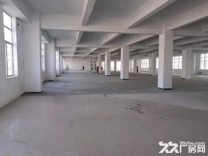深圳龙华大浪石观附近原房东楼上2000平工业厂房出租。-图7