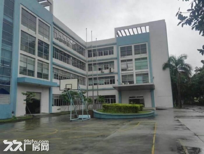 坪山碧岭主干道边2楼整层原房东1000平带装修-图2