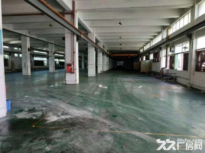 石岩龙大高速出口花园式一楼2800厂房可分租-图4