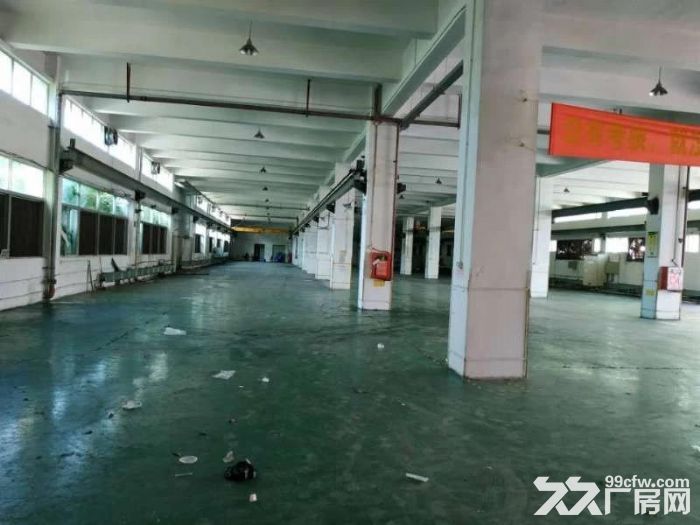 石岩龙大高速出口花园式一楼2800厂房可分租-图5