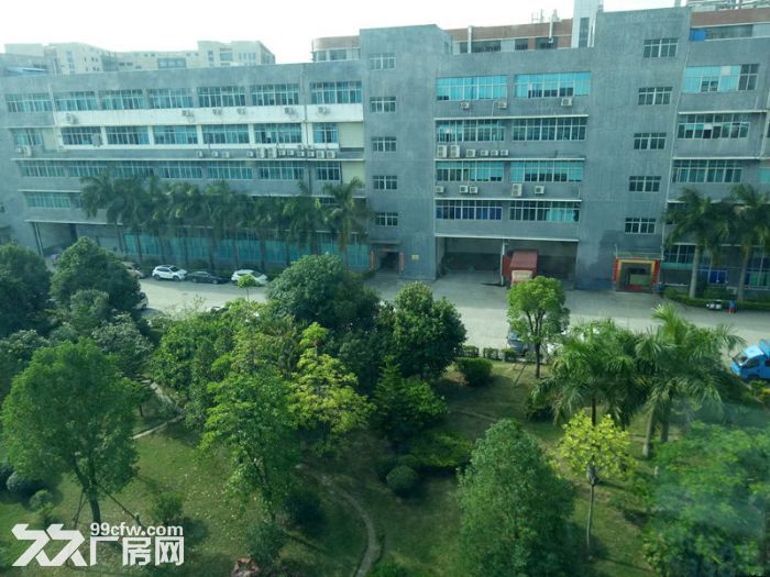 坪山大工业区 原房东精装修厂房3楼2500平米出租-图1