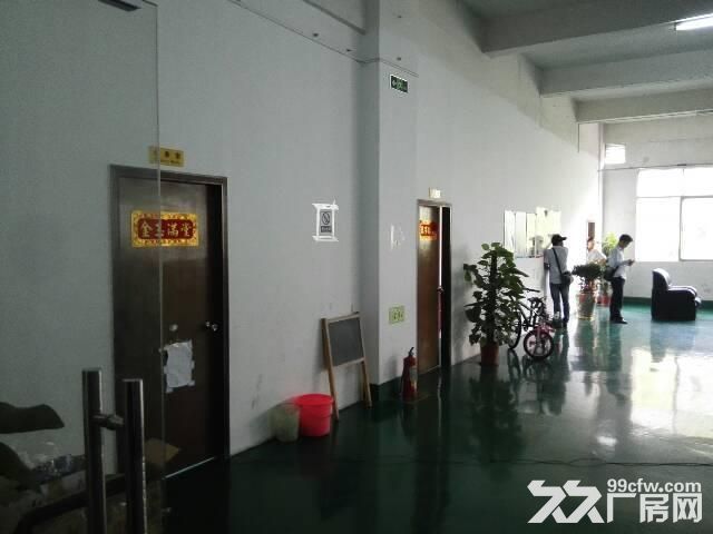 横岗六约原房东工业园一层800平米带装修出租-图5