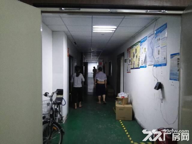 横岗六约原房东工业园一层800平米带装修出租-图6