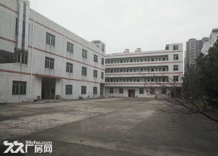 龙岗五联新出独院4000平米可分租-图2