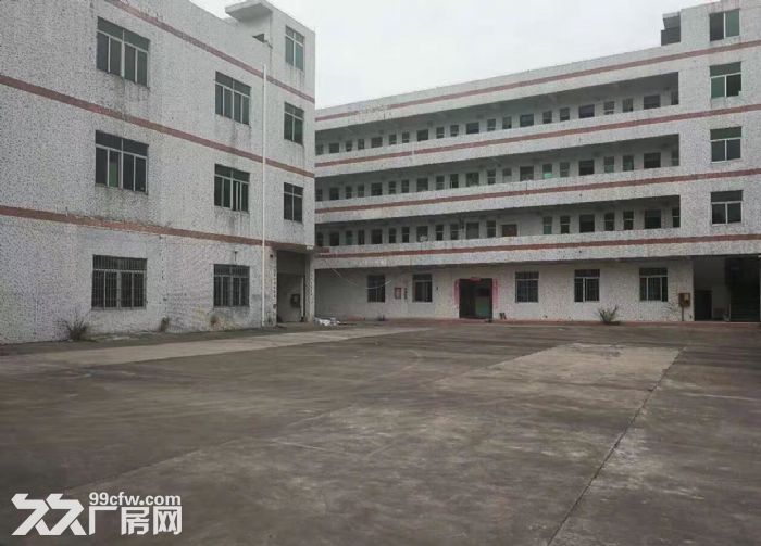 龙岗五联新出独院4000平米可分租-图3
