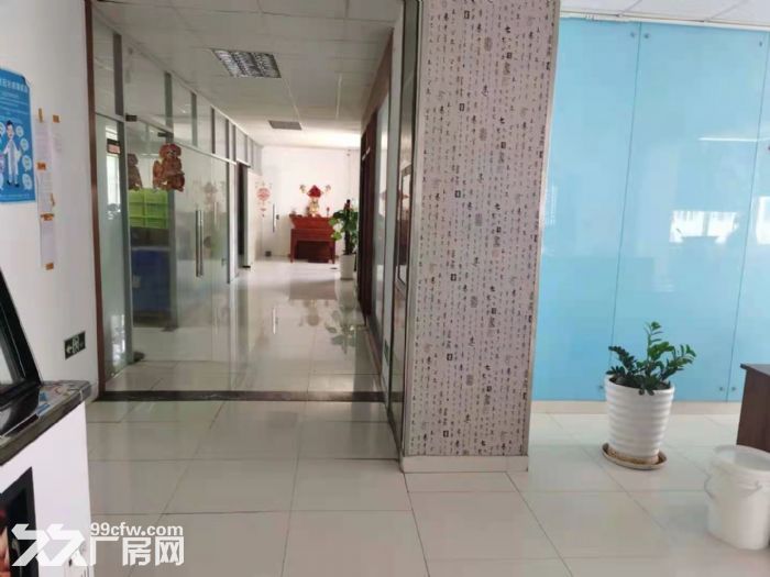 精装厂房出租面积800平米-图4