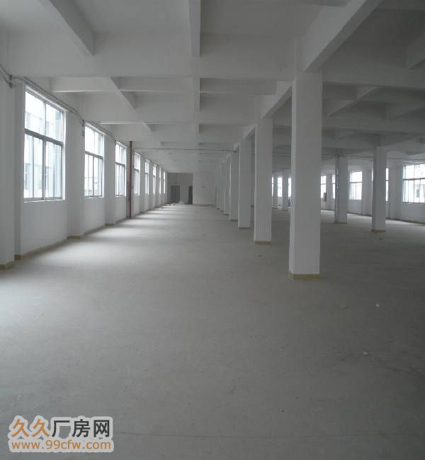 龙岗工业区1000楼上分租厂房-图2
