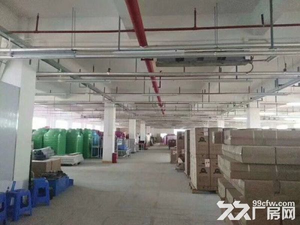 独院厂房可分租单层面积850，真实价格15元-图7