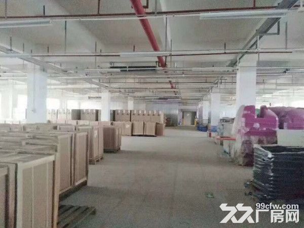 独院厂房可分租单层面积850，真实价格15元-图4