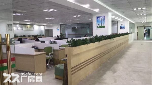 独院厂房可分租单层面积850，真实价格15元-图6