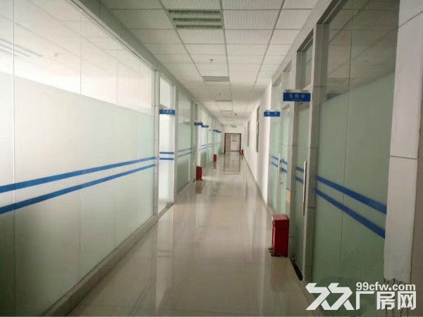 独院厂房可分租单层面积850，真实价格15元-图5