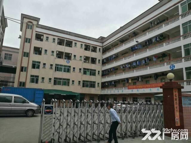 龙岗宝龙高新产业区34570平米厂房招租-图1
