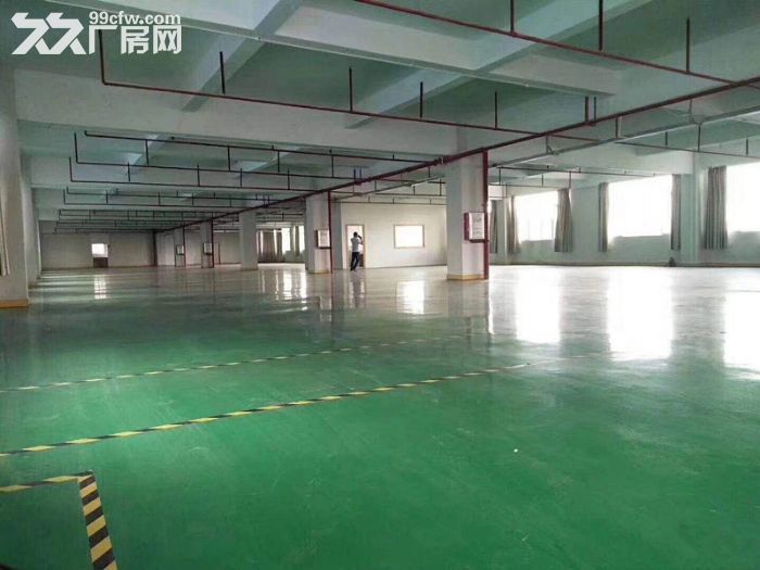 坪山大工业区附近二三楼2200平 原房东带装修出租-图5